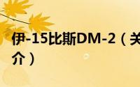 伊-15比斯DM-2（关于伊-15比斯DM-2的简介）