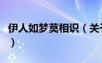 伊人如梦莫相识（关于伊人如梦莫相识的简介）