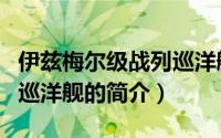 伊兹梅尔级战列巡洋舰（关于伊兹梅尔级战列巡洋舰的简介）