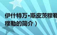 伊什特万·斯皮茨穆勒（关于伊什特万·斯皮茨穆勒的简介）