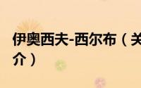 伊奥西夫-西尔布（关于伊奥西夫-西尔布的简介）