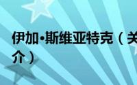 伊加·斯维亚特克（关于伊加·斯维亚特克的简介）