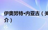 伊奥努特·内亚古（关于伊奥努特·内亚古的简介）