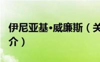 伊尼亚基·威廉斯（关于伊尼亚基·威廉斯的简介）