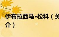 伊布拉西马·松科（关于伊布拉西马·松科的简介）