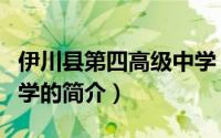 伊川县第四高级中学（关于伊川县第四高级中学的简介）