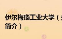 伊尔梅瑙工业大学（关于伊尔梅瑙工业大学的简介）