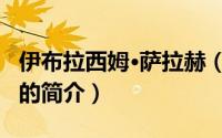 伊布拉西姆·萨拉赫（关于伊布拉西姆·萨拉赫的简介）