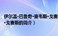 伊尔温·巴鲁奇·查韦斯·戈麦斯（关于伊尔温·巴鲁奇·查韦斯·戈麦斯的简介）