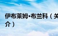 伊布莱姆·布兰科（关于伊布莱姆·布兰科的简介）