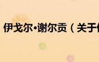 伊戈尔·谢尔贡（关于伊戈尔·谢尔贡的简介）