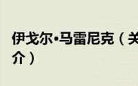 伊戈尔·马雷尼克（关于伊戈尔·马雷尼克的简介）