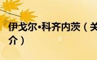 伊戈尔·科齐内茨（关于伊戈尔·科齐内茨的简介）