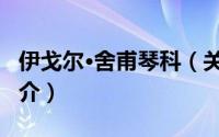伊戈尔·舍甫琴科（关于伊戈尔·舍甫琴科的简介）