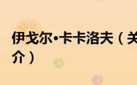 伊戈尔·卡卡洛夫（关于伊戈尔·卡卡洛夫的简介）