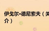 伊戈尔·德尼索夫（关于伊戈尔·德尼索夫的简介）