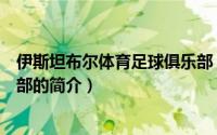 伊斯坦布尔体育足球俱乐部（关于伊斯坦布尔体育足球俱乐部的简介）