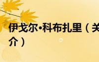 伊戈尔·科布扎里（关于伊戈尔·科布扎里的简介）