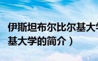 伊斯坦布尔比尔基大学（关于伊斯坦布尔比尔基大学的简介）