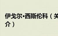 伊戈尔·西斯伦科（关于伊戈尔·西斯伦科的简介）