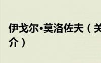 伊戈尔·莫洛佐夫（关于伊戈尔·莫洛佐夫的简介）