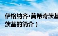 伊格纳齐·莫希奇茨基（关于伊格纳齐·莫希奇茨基的简介）