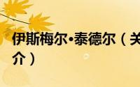 伊斯梅尔·泰德尔（关于伊斯梅尔·泰德尔的简介）