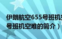 伊朗航空655号班机空难（关于伊朗航空655号班机空难的简介）