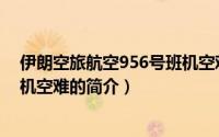 伊朗空旅航空956号班机空难（关于伊朗空旅航空956号班机空难的简介）