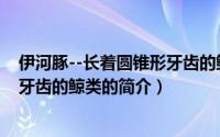 伊河豚--长着圆锥形牙齿的鲸类（关于伊河豚--长着圆锥形牙齿的鲸类的简介）