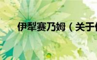 伊犁赛乃姆（关于伊犁赛乃姆的简介）
