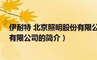 伊耐特 北京照明股份有限公司（关于伊耐特 北京照明股份有限公司的简介）