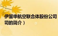 伊留申航空联合体股份公司（关于伊留申航空联合体股份公司的简介）