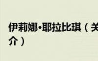 伊莉娜·耶拉比琪（关于伊莉娜·耶拉比琪的简介）