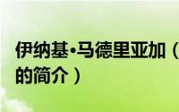 伊纳基·马德里亚加（关于伊纳基·马德里亚加的简介）