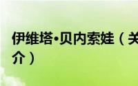 伊维塔·贝内索娃（关于伊维塔·贝内索娃的简介）