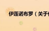 伊莲诺布罗（关于伊莲诺布罗的简介）