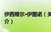 伊西娅尔·伊图诺（关于伊西娅尔·伊图诺的简介）