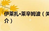 伊莱扎·莱辛姆波（关于伊莱扎·莱辛姆波的简介）