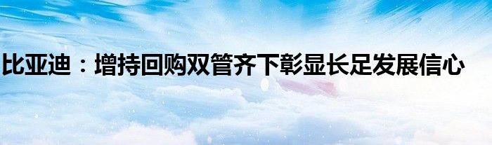 比亚迪：增持回购双管齐下彰显长足发展信心