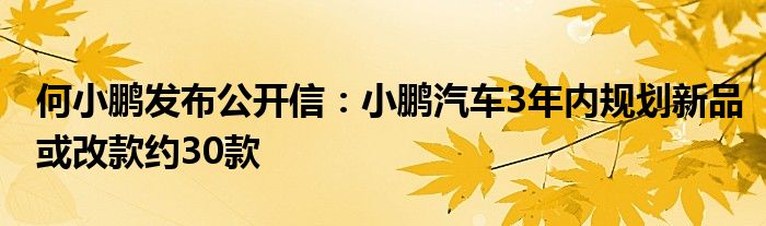 何小鹏发布公开信：小鹏汽车3年内规划新品或改款约30款