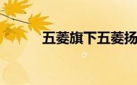 五菱旗下五菱扬光正式开启预售