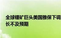 全球锂矿巨头美国雅保下调2030年锂需求预测 因电动车增长不及预期