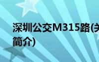 深圳公交M315路(关于深圳公交M315路的简介)