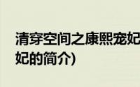 清穿空间之康熙宠妃(关于清穿空间之康熙宠妃的简介)
