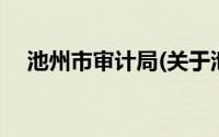 池州市审计局(关于池州市审计局的简介)