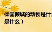 倾国倾城的动物是什么生肖（倾国倾城的动物是什么）