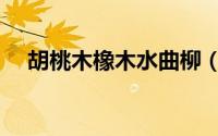 胡桃木橡木水曲柳（胡桃木橡木的区别）