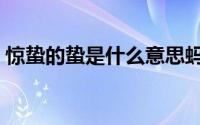 惊蛰的蛰是什么意思蚂蚁庄园（惊蛰的含义）