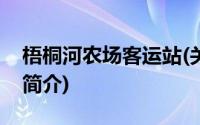 梧桐河农场客运站(关于梧桐河农场客运站的简介)